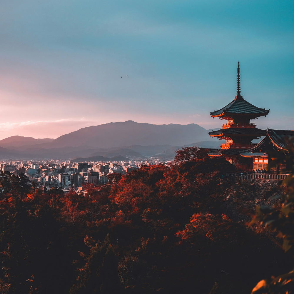japan esim